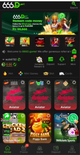 666D Game