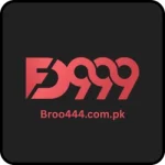 FD999 Game