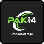 PAK14 Game