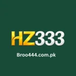 HZ333 Game