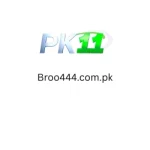 PK11 Game